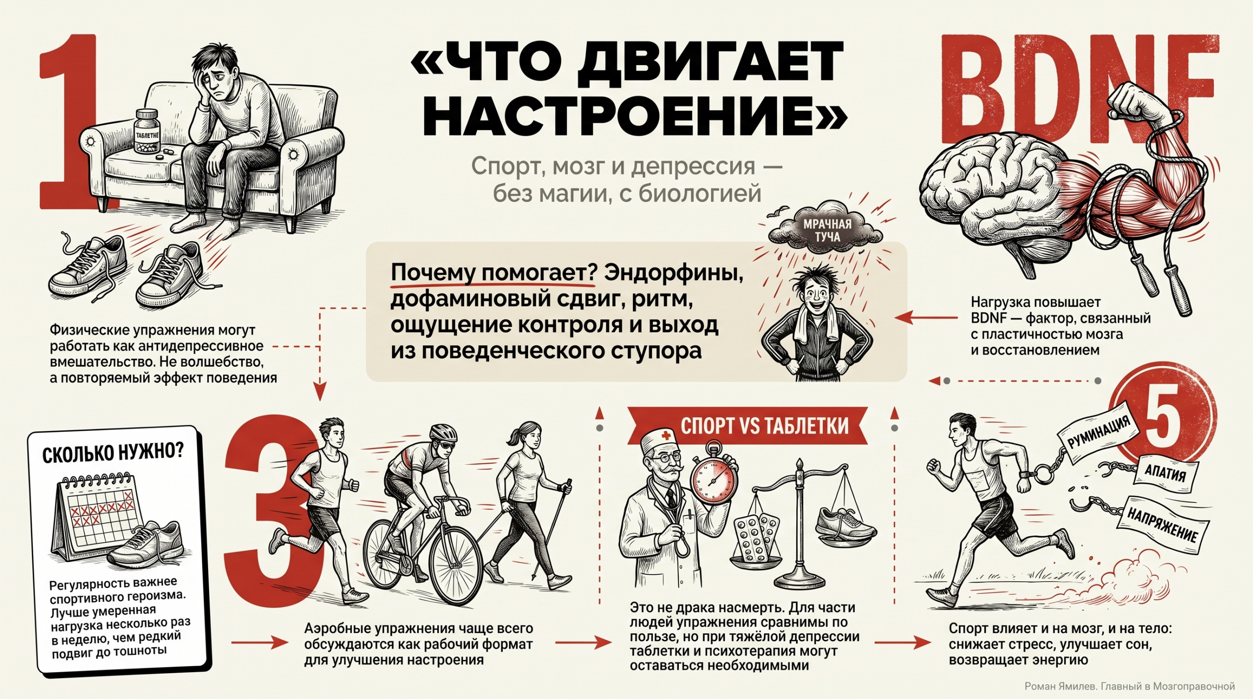 Инфографика о том, как спорт помогает при депрессии: BDNF, эндорфины, сравнение с таблетками