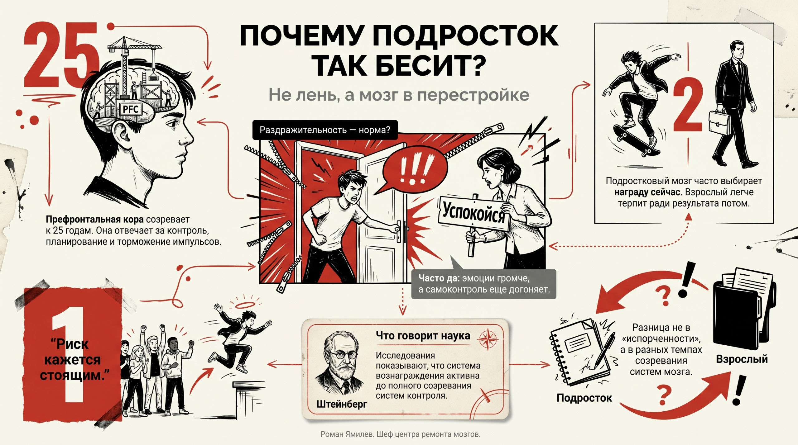 Инфографика о подростковом мозге: ПФК до 25 лет, импульсивность, раздражительность и отличие от взрослого