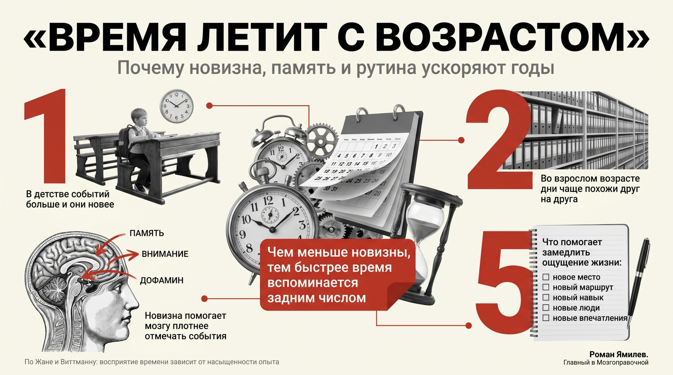 Красная инфографика о том, почему время летит с возрастом: новизна, дофамин, память и рутина