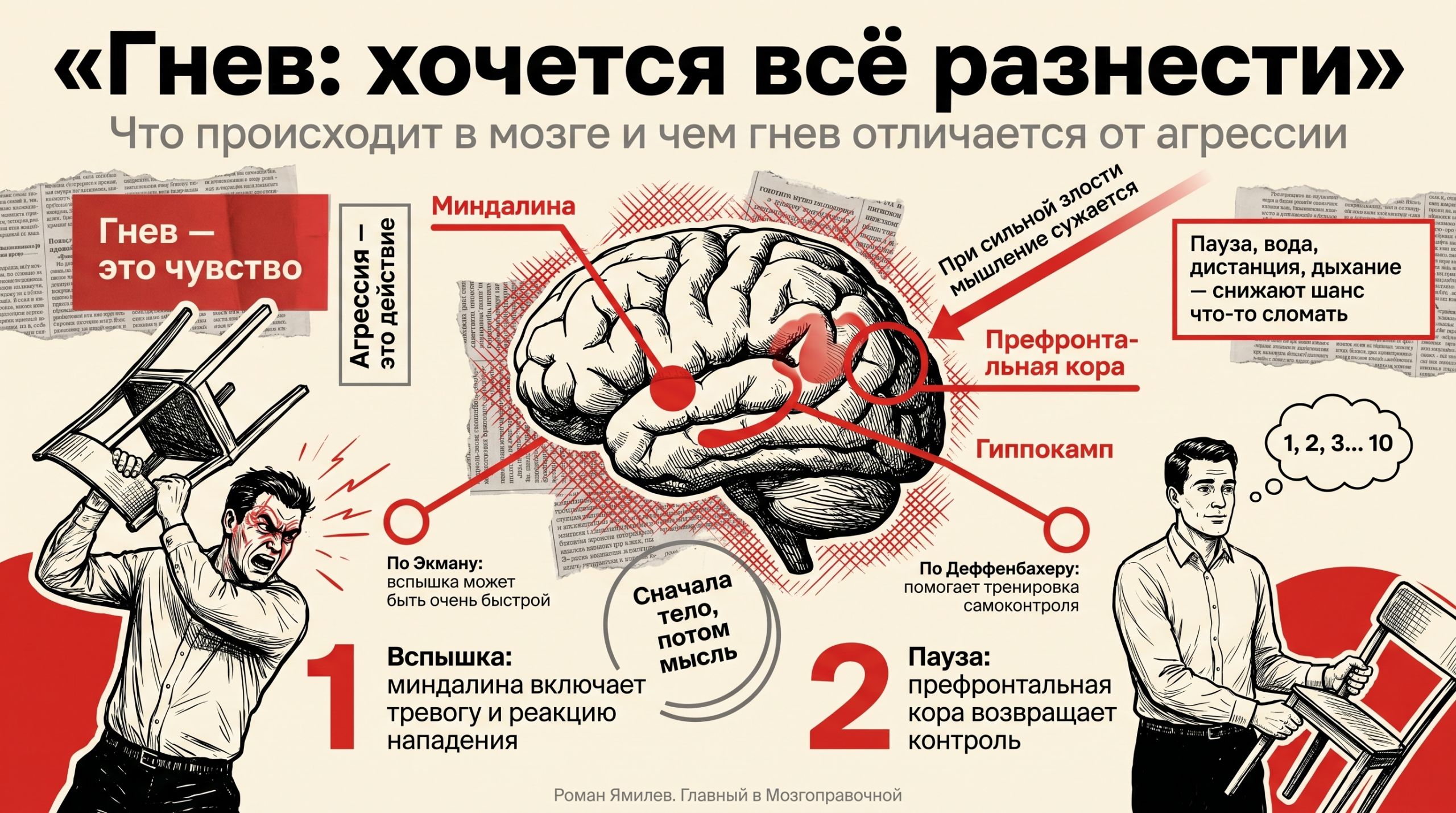 Красная инфографика о гневе: мозг, миндалина, префронтальная кора и шаги управления агрессией