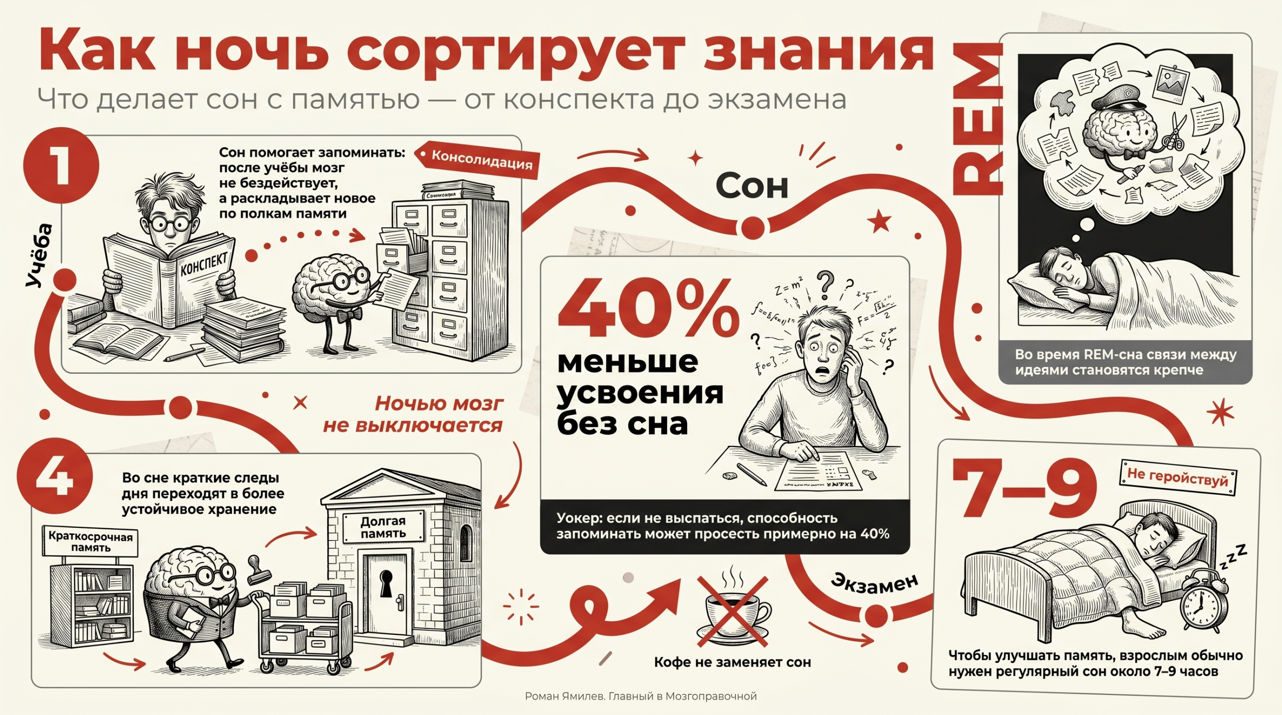 Инфографика о том, как сон и REM-сон помогают памяти и почему недосып перед экзаменом мешает запоминанию