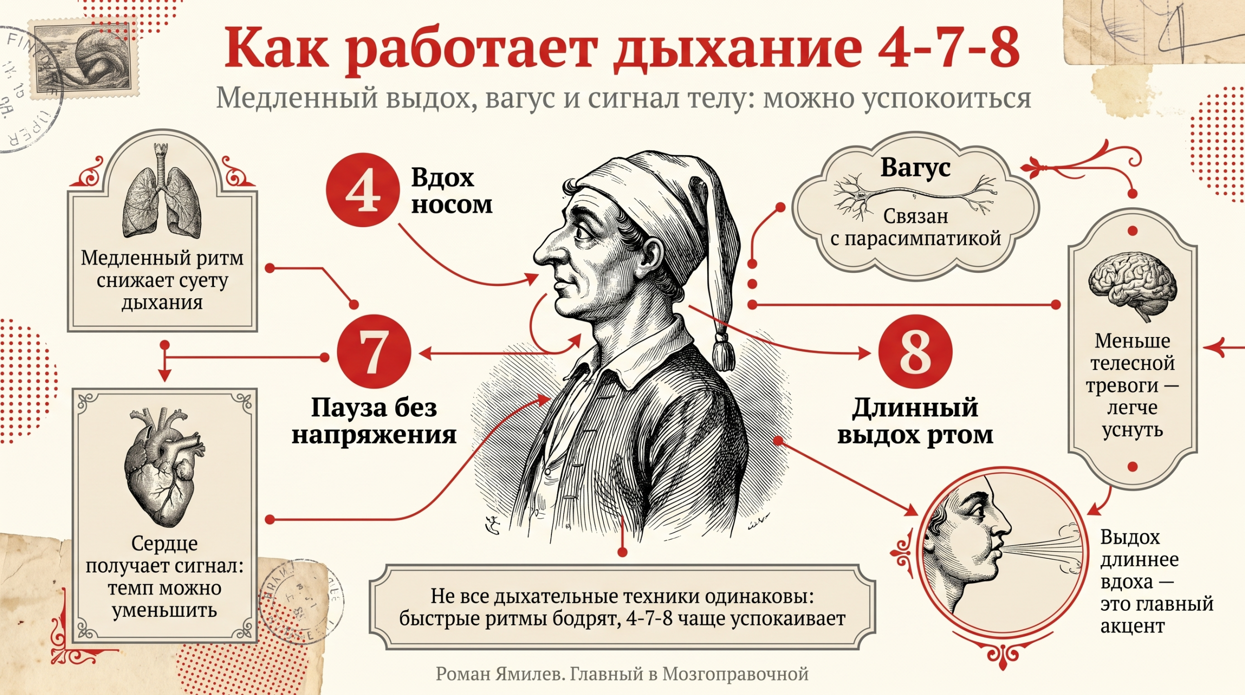 Красная инфографика о дыхании 4-7-8: вдох, пауза, выдох, вагус и расслабление