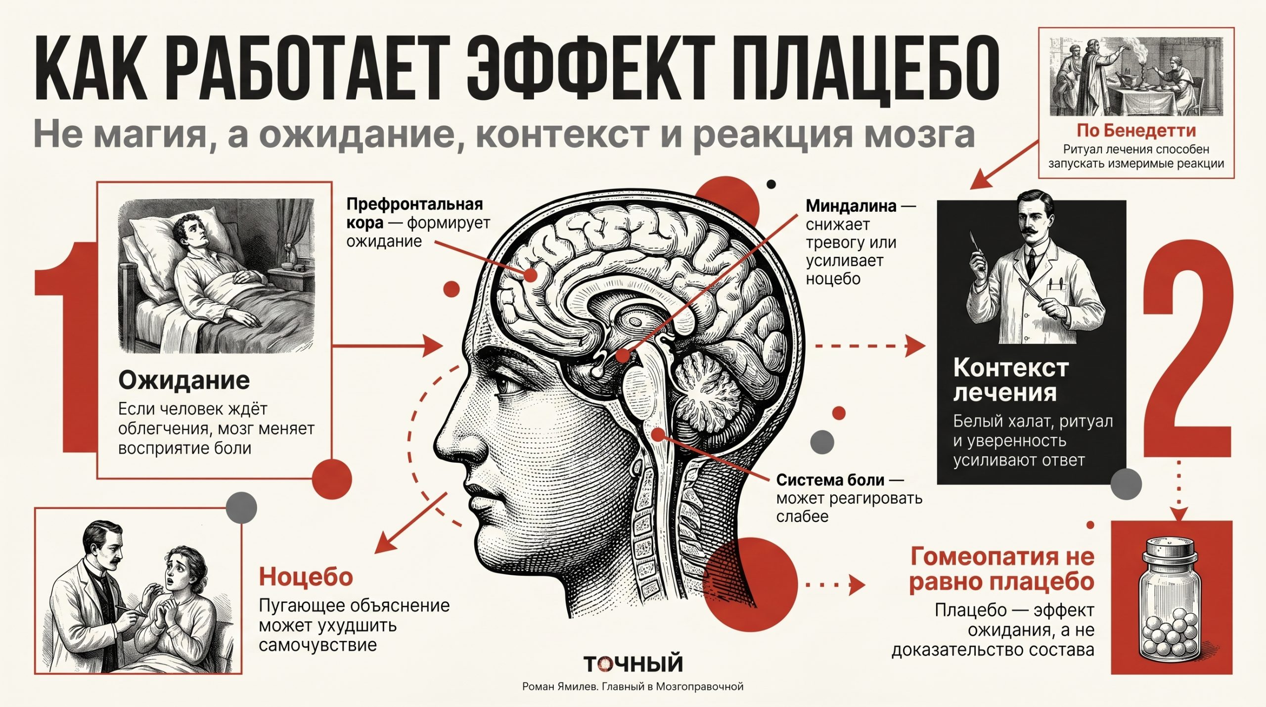 Красная инфографика о том, как работает эффект плацебо, с мозгом, выносками и блоками про ноцебо