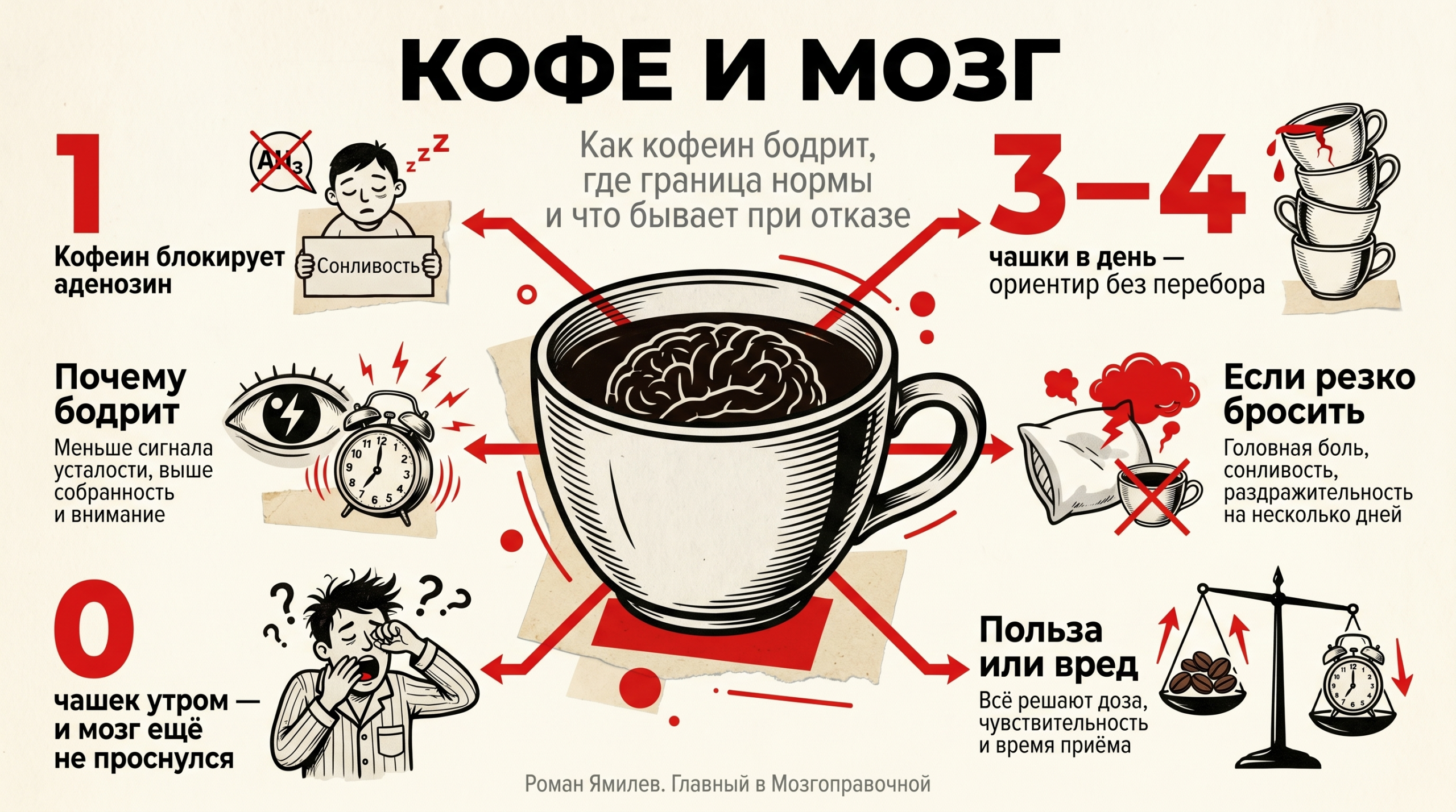 Красная инфографика о кофе и мозге: аденозин, 3–4 чашки в день и симптомы отказа от кофе