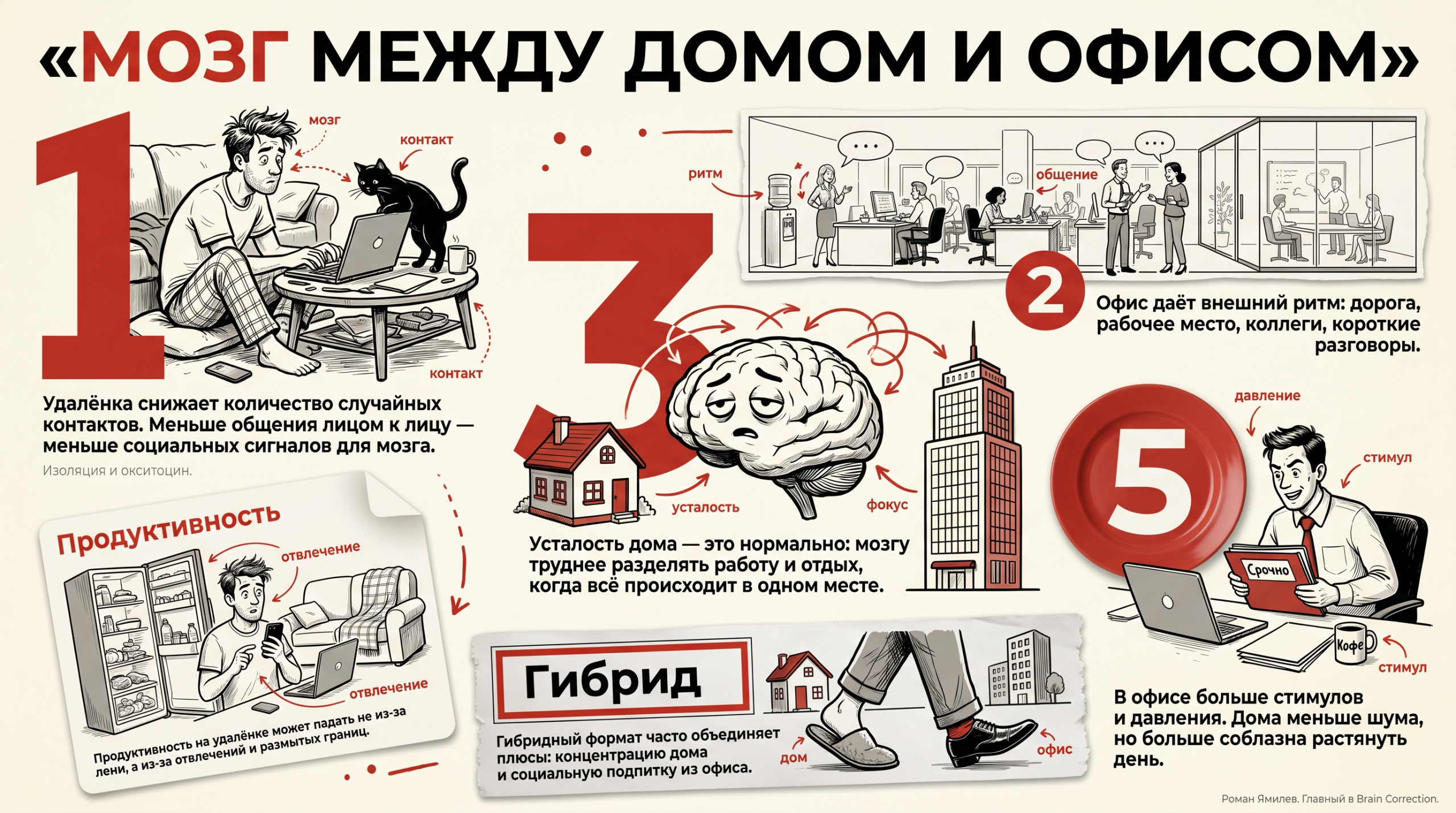 Инфографика о том, как удалёнка и офис по-разному влияют на мозг, усталость и продуктивность