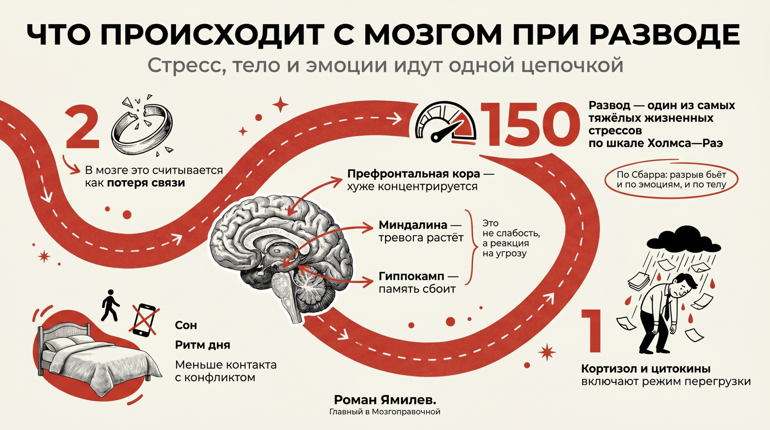 Красная инфографика о том, как стресс при разводе влияет на мозг, эмоции и тело