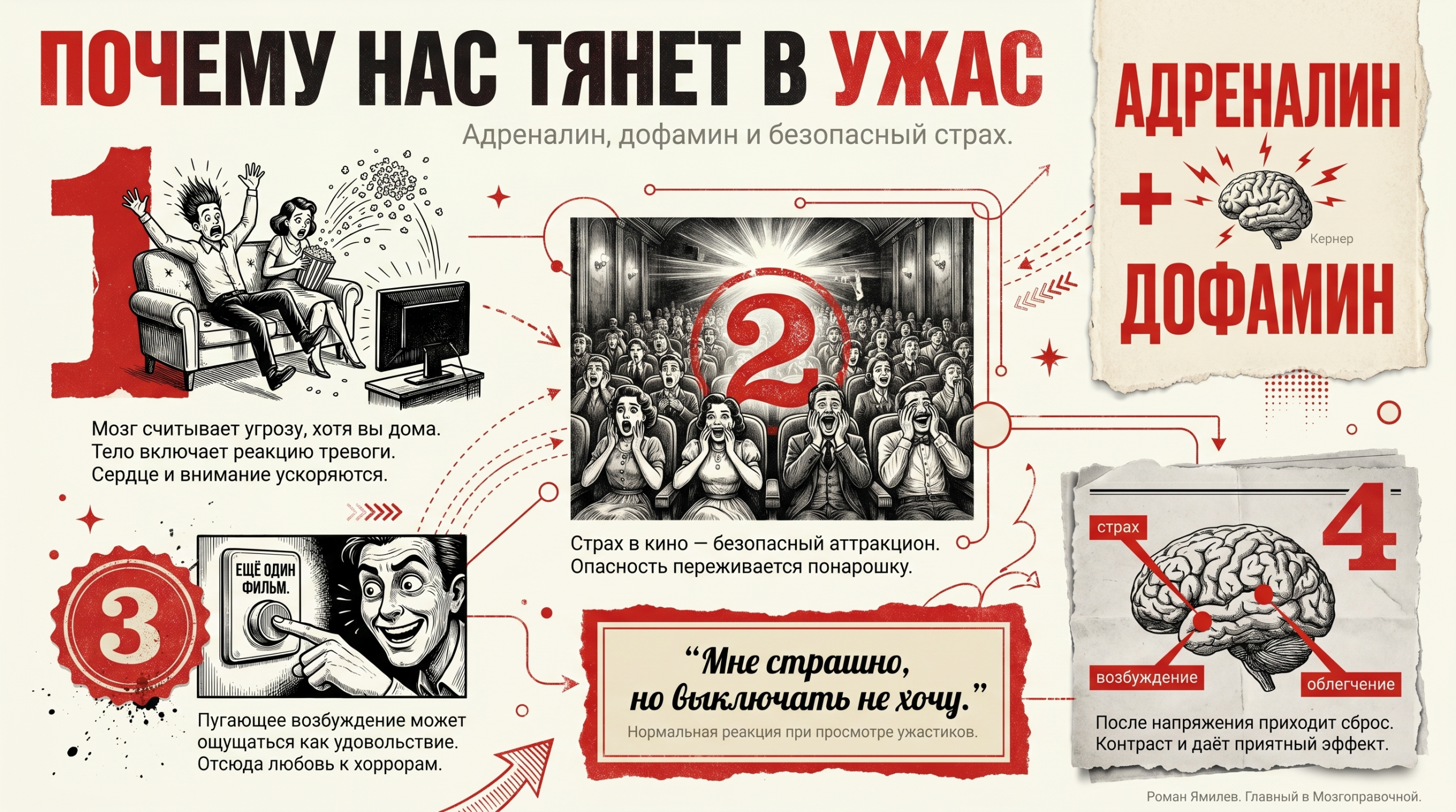 Инфографика о нейрохимии страха: адреналин, дофамин, мозг и удовольствие от хорроров