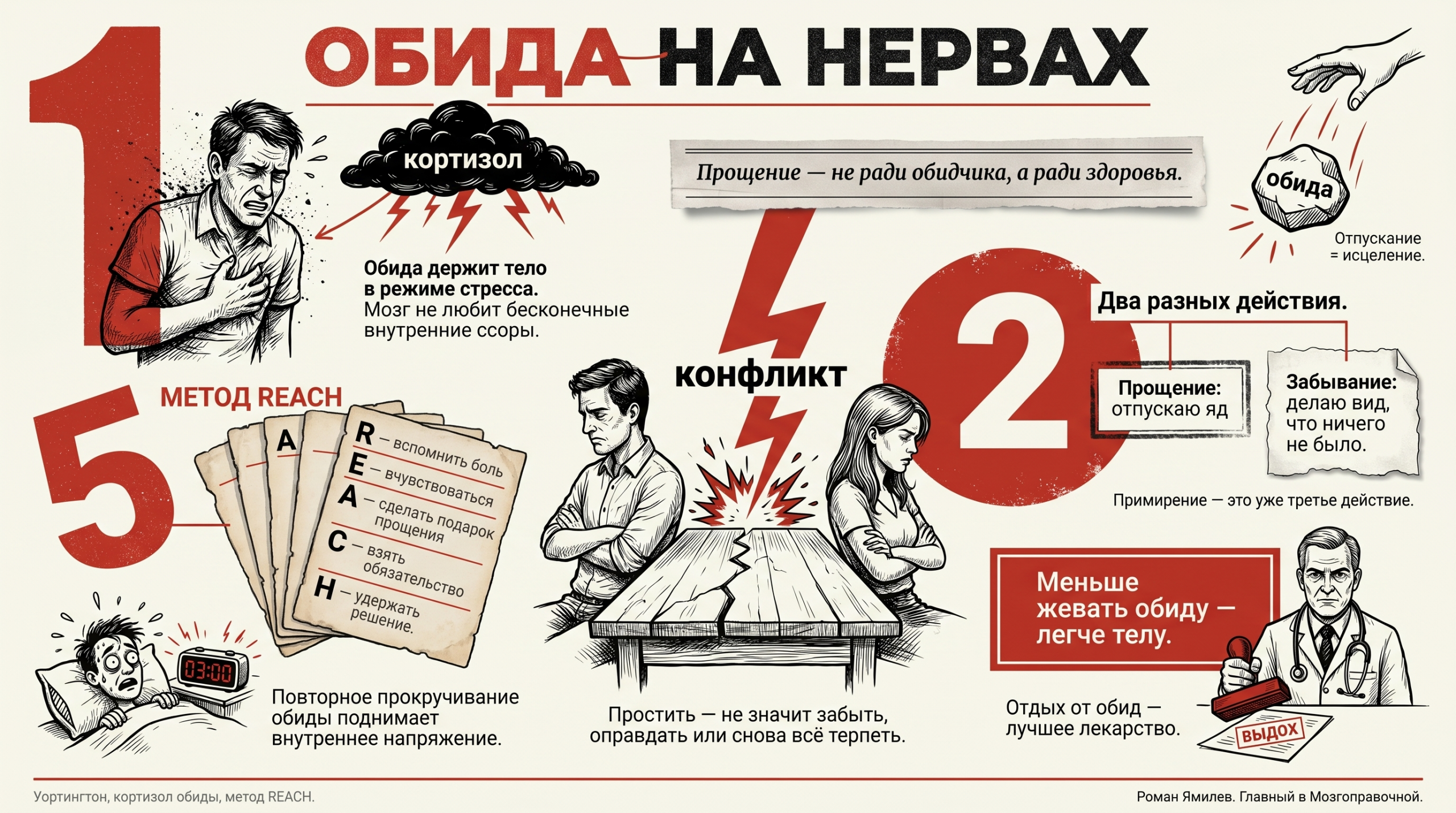 Инфографика о прощении, кортизоле, обиде и методе REACH с красными цифрами и рисованными сценами