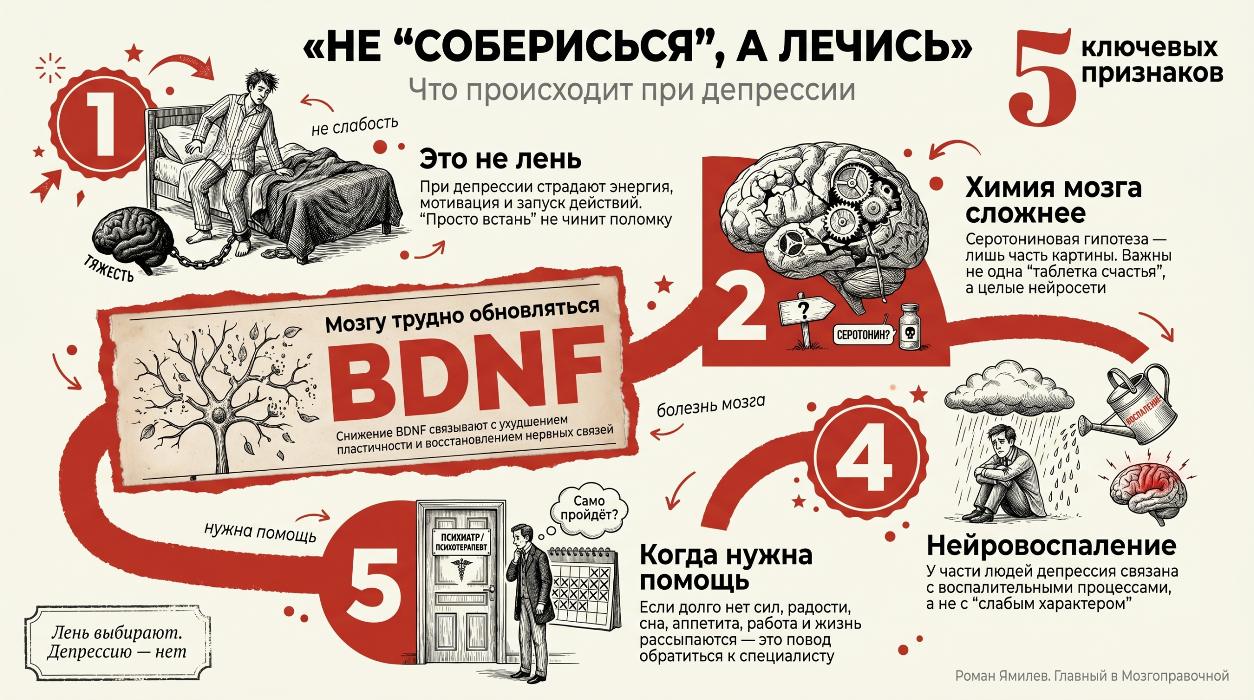 Инфографика с красной дорожкой и 5 остановками о том, почему депрессия не лень, а заболевание мозга