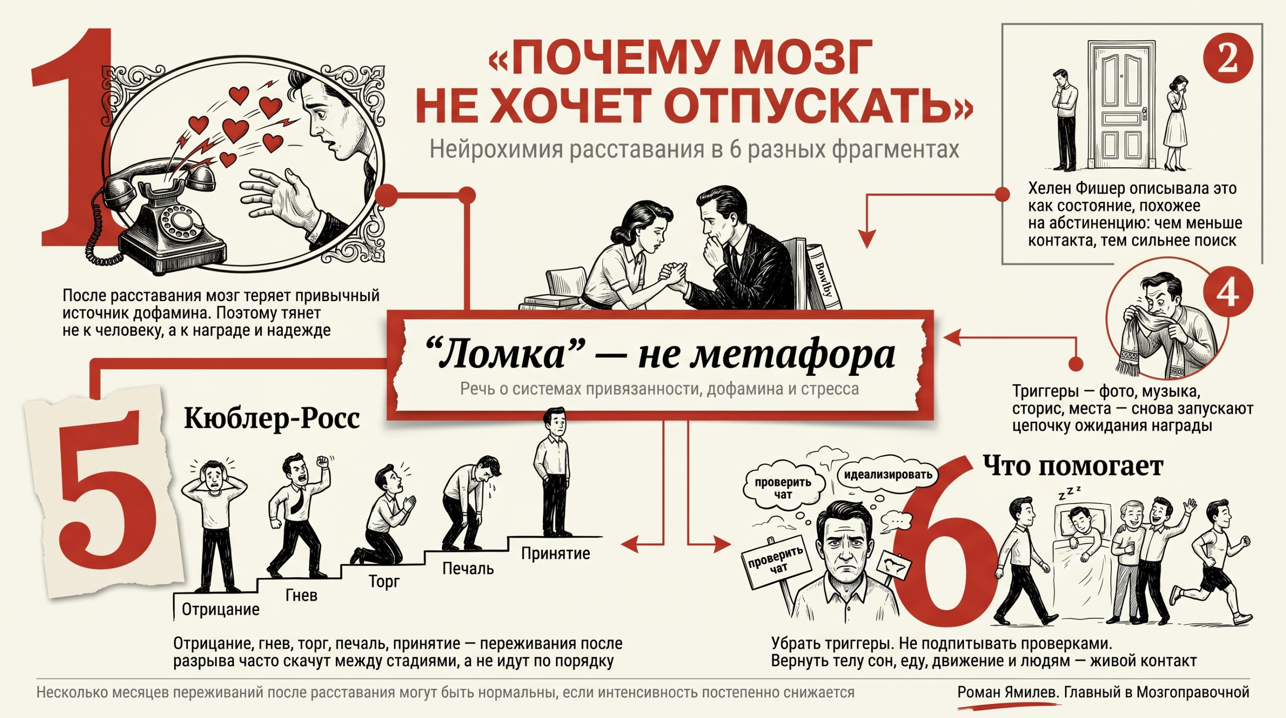 Инфографика о ломке по бывшему: дофамин, привязанность, стадии Кюблер-Росс и способы пережить расставание