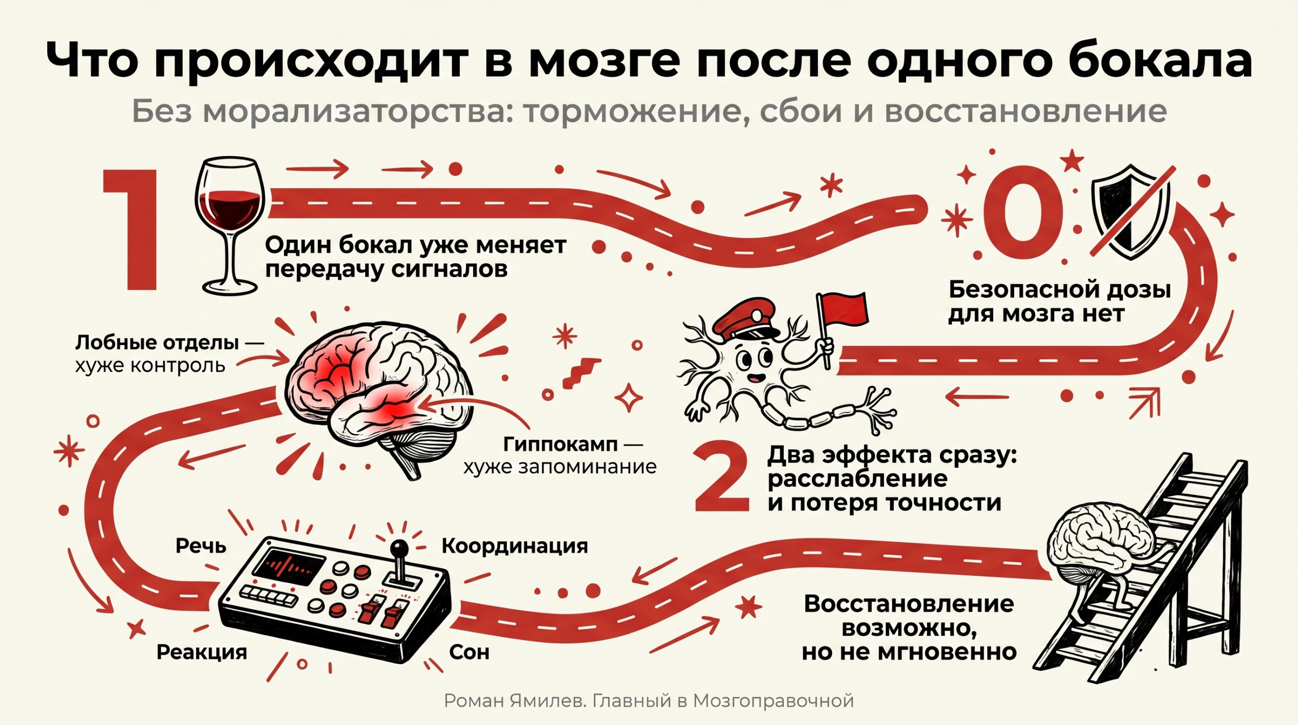 Красная инфографика о том, что происходит в мозге после одного бокала алкоголя