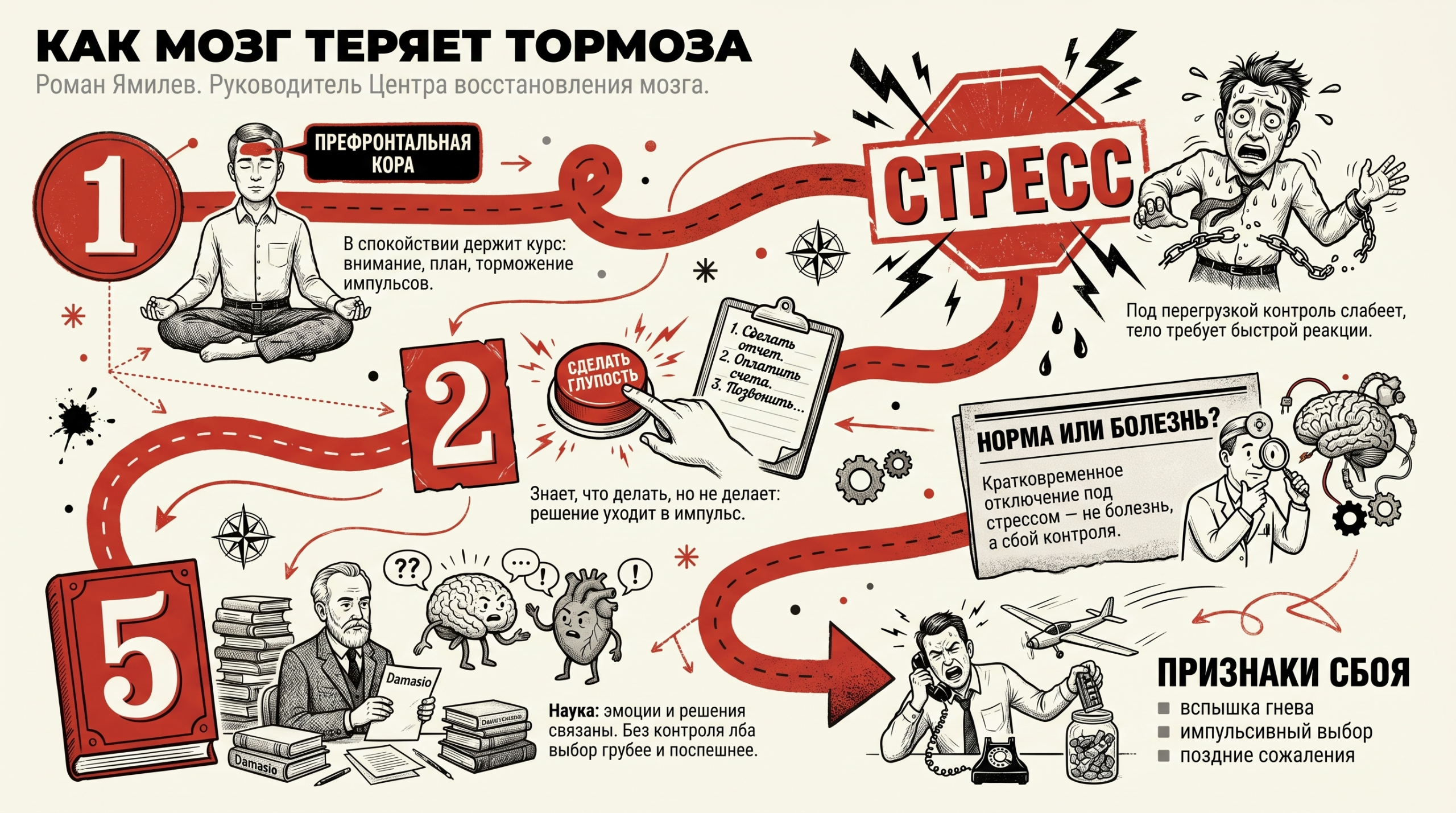 Инфографика показывает, как стресс ослабляет префронтальную кору и меняет решения человека