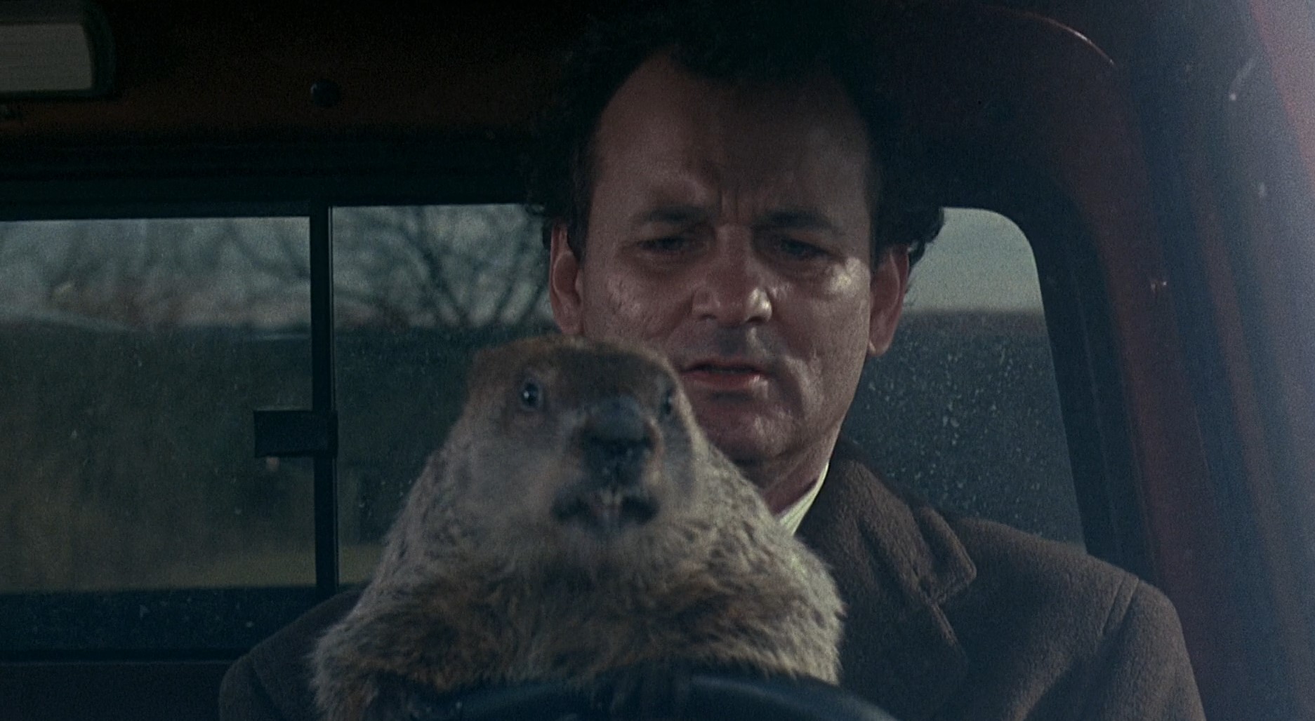 день сурка. Психологический разбор фильма