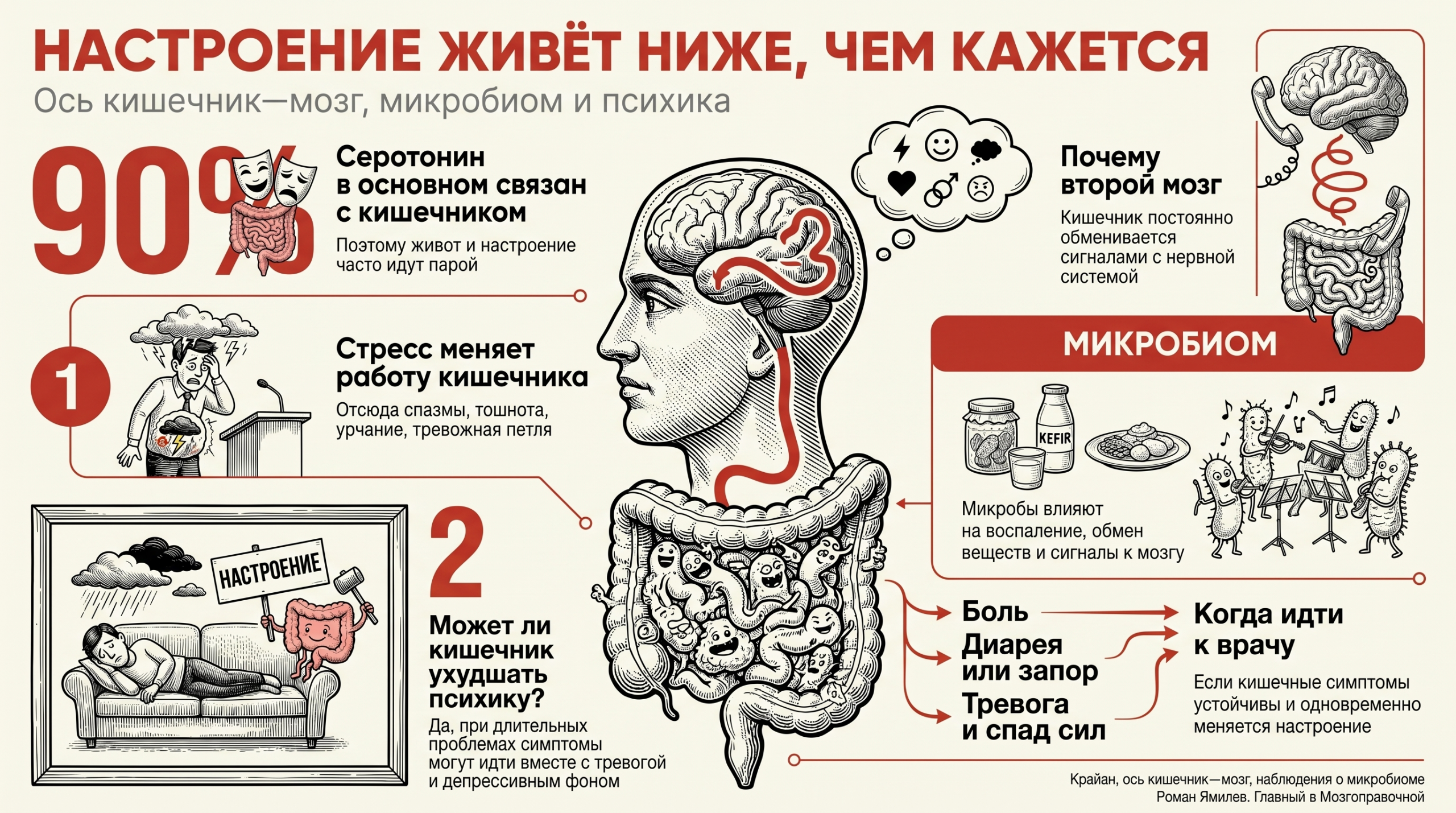 Ось кишечник—мозг Инфографика о связи кишечника и мозга: 90% серотонина, микробиом, настроение и психика