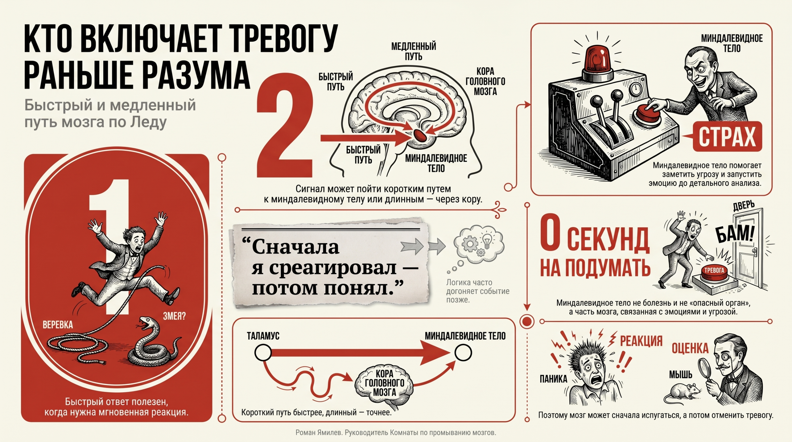 Пути тревоги мозга Инфографика о миндалине мозга, страхе, быстром и медленном пути обработки сигнала по Леду