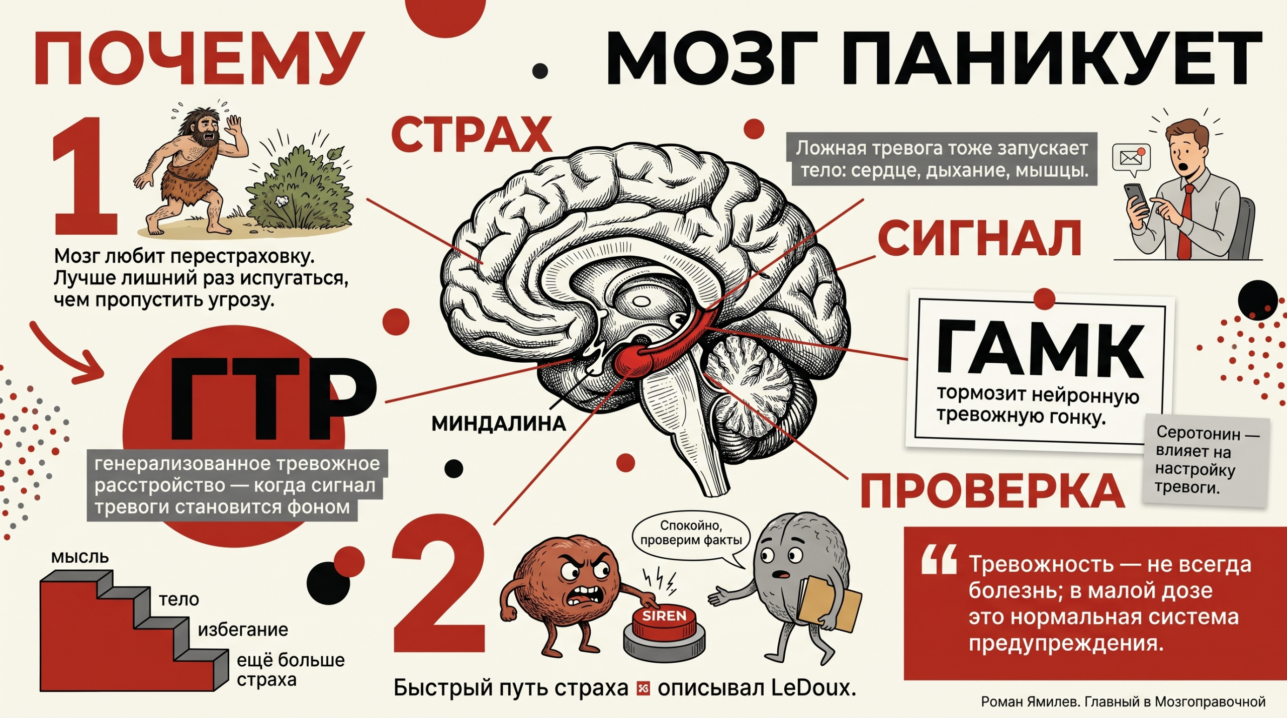 Почему мозг паникует Инфографика о тревожности: миндалина, ГТР, ГАМК, серотонин и ложные сигналы опасности
