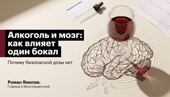 Бокал вина сверху и силуэт мозга из треснувшего стекла, тема алкоголь и мозг после одного бокала