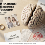 Треснувшая модель мозга, кольцо, разорванные бумаги о разводе и метафора стресса при разводе